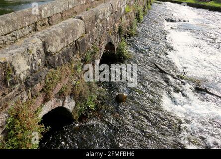 Mittelalterliche Steinbrücke über den Fluss Ruente ein Nebenfluss des Flusses Saja Ruente Kantabrien Spanien Stockfoto