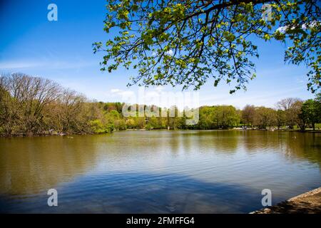 see im westpark, Frühling in münchen Stockfoto