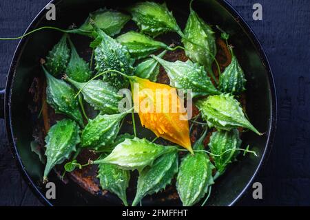 Bitteres Kürbisgemüse. Gesunde Lebensmittel Stockfoto