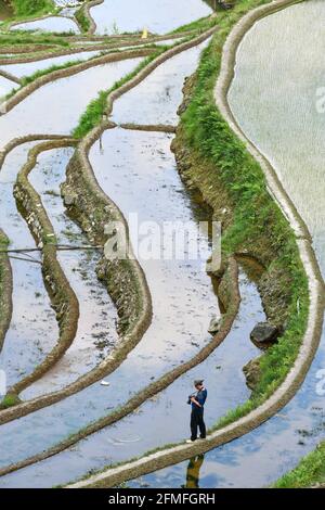 (210509) -- GUIYANG, 9. Mai 2021 (Xinhua) -- Mo Xiaoshu durchsucht Fotos von terrassenförmig angelegten Feldern in Jiabang, die er am 3. Mai 2021 im Bezirk Congjiang, südwestlich der chinesischen Provinz Guizhou, aufgenommen hat. An den meisten Morgen ist das Wetter auf den Terrassen mit einer Decke aus Wolken und Nebel bedeckt. Die verträumte Landschaft ist das, was man in Bildern von Mo Xiaoshu finden kann. Mo, ein 39-jähriger Beamter, hat in den letzten 13 Jahren mehr als 100,000 Fotos von terrassenförmig angelegten Feldern in Jiabang im Landkreis Congjiang gemacht. Seine Arbeit ging viral online und lockte viele Käferchen an, um die Reisterrassen zu besuchen. Ji Stockfoto