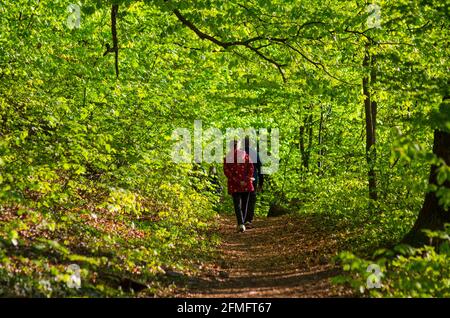 Ein paar Wanderungen auf einem Waldweg auf dem Hügel von Tampa in Brasov, Rumänien - Foto: Geopix Stockfoto