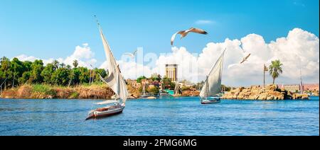 Segeln auf dem Nil in Assuan, Ägypten Stockfoto