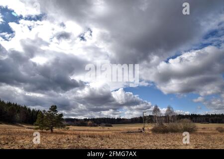 Tis Marschland, Louny District, Tschechische Republik. Stockfoto