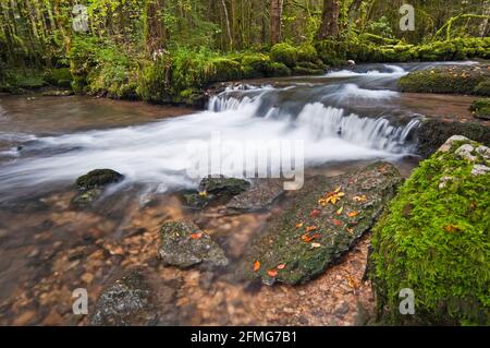 Hedgehog Fluss, der durch das Tal der 7 Wasserfälle bekannt als die Hedgehog (Igel) fällt, ein Naturerbe im Jura (39), Stockfoto