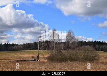 Tis Marschland, Louny District, Tschechische Republik. Stockfoto