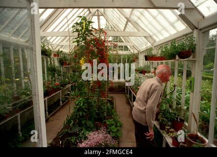 EIN MANN SCHAUT AUS DEM FENSTER IN EIN GEWÄCHSHAUS IM BROUGHTON HOUSE KIRKCUDBRIGHT SCOTLAND. Stockfoto