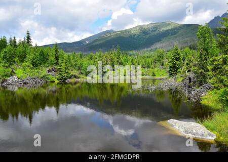 Der See Rakytowske plieska in der Hohen Tatra. Slowakei. Stockfoto