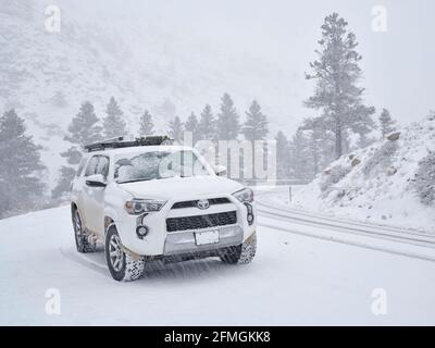 Fort Collins, CO, USA - 19. April 2021: Toyota 4Runner SUV (Modell 2016 Trail) bei einem schweren Schneesturm im Frühling im Poudre River Canyon in Colorado Stockfoto