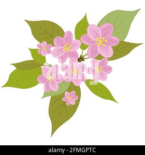 Ein Blumenkranz aus rosa Blüten mit Blättern. Realistisch von Hand gezeichnet. Kirschblüten Stockfoto