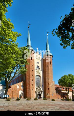 Polen, Danzig, Oliwa, Kathedrale, woiwodschaft Pommern Stockfoto