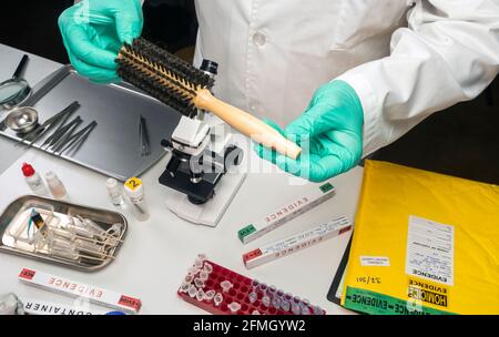 Polizeiwissenschaftler mit Haarbürste im Kriminallabor, konzeptuelles Bild Stockfoto