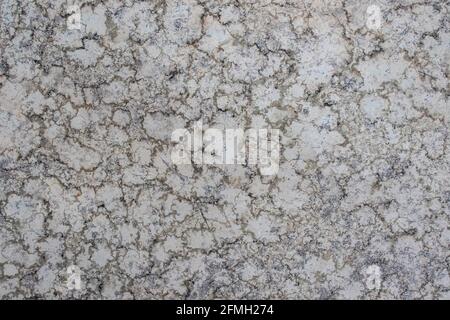 Die schwarze, wolkige Textur auf dem weißen Hintergrund durch Regentropfen. Stockfoto