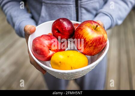 Nahaufnahme eines Mannes, der ganze Früchte mit Äpfeln, Pflaumen, Mangos und Pfirsichen in einer Schüssel mit Holzbokeh-Hintergrund hält Stockfoto