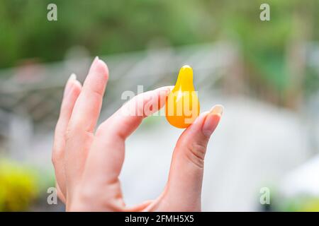 Makro-Nahaufnahme von einzigartigen kleinen Kirschtomaten aus der gelben Birne geerntet Aus dem Garten mit der Frau, die Obst hält, und dem Hintergrund des Gartens Deck Stockfoto