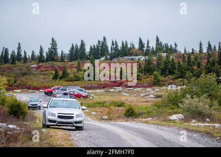 Dolly Sods Bear Rocks Trail in West Virginia im Herbst Und viele Autos auf dem Parkplatz am Trailhead bei überfüllt Beliebter berühmter Ort in der Natur Stockfoto