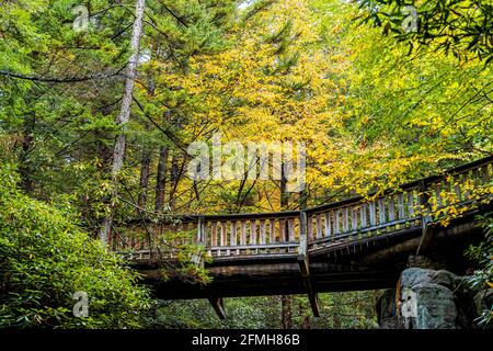 Blackwater Falls Park mit dem berühmten Wasserfall von Elakala unter einer Holzbrücke In West Virginia während der Herbstsaison mit gelbem Laub Auf Bäumen Stockfoto