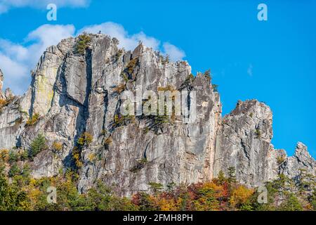 Nahaufnahme der Steinklippe der Seneca Rocks vom Besucherzentrum Im Herbst mit rotgelben Blättern auf Bäumen und Menschen Klettern Berge auf dem Gipfel mit Stockfoto