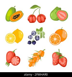 Früchte und Beeren Cartoon Icon Set. Papaya, Acerola Kirsche, Guava, Zitrone, schwarze Johannisbeere, Orange, Hagebutte, Sanddorn, Erdbeere. Vitamin gesund f Stock Vektor