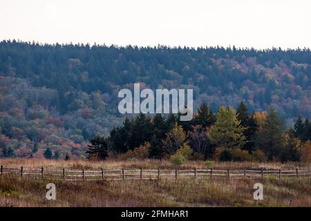 Ländliche Landschaft West Virginia Monongahela National Forest Little Laurel Mountains Im Herbst bietet sich ein schöner Blick auf die Landschaft mit farbenfrohen Baumbäumen am Morgen So Stockfoto
