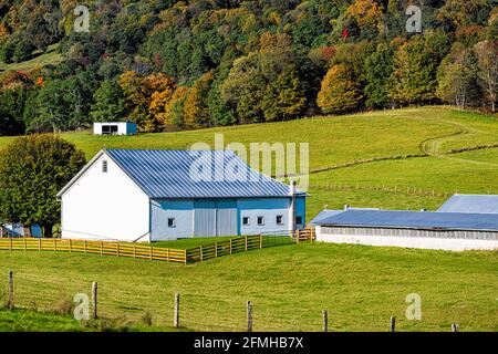 Landwirtschaftliche industrielle Geflügelhaus Gebäude von Schuppen Scheune auf dem Bauernhof An sanften Hügeln durch Herbstwald Berge pastorale Landschaft Weide In Monterey Stockfoto