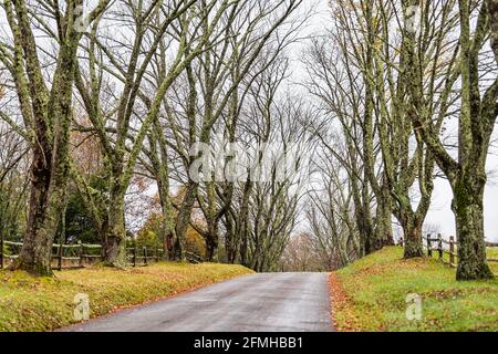 Ländliche schmale Landstraße, die im Frühjahr oder Herbst nach Ash Lawn-Highland führt, Heimat von Präsident James Monroe in Albemarle County, Virginia Stockfoto