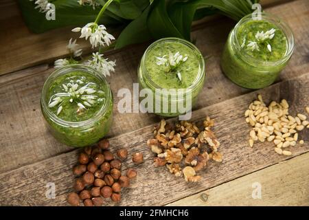 Beispiele für Bärlauch-Pesto, das mit verschiedenen Nüssen hergestellt wurde. Links-rechts-Pesto aus Haselnuss und Bärlauch, Pesto aus Walnuss und Bärlauch und Kiefer Stockfoto