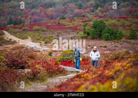 Davis, USA - 5. Oktober 2020: Herbstsaison auf dem Bear Rocks Trail Wanderroute und ehrliche Menschen wandern in Dolly Sods Wilderness in West Virginia Mono Stockfoto