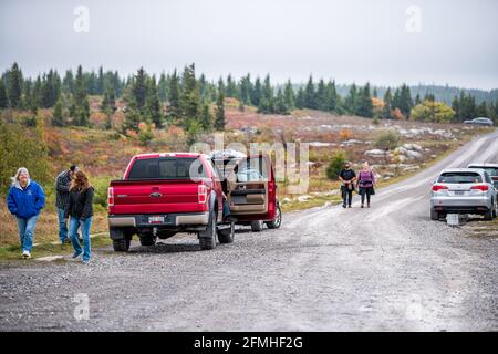 Davis, USA - 5. Oktober 2020: Dolly Sods Bear Rocks Trail in West Virginia im Herbst und ehrliche Menschen wandern mit vielen Autos auf dem Parkplatz zu übersehen Stockfoto