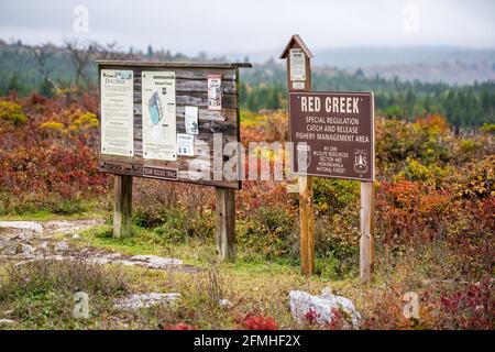 Davis, USA - 5. Oktober 2020: Farbenprächtiger Herbst und Schild am Wegweiser zum Bear Rocks Trail in Dolly Sods Wilderness in West Virginia Monon Stockfoto