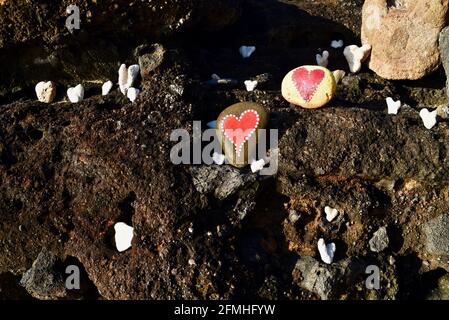 Herzförmige Korallen und Steine, bemalt mit leuchtend roten "Liebesherzen", in vulkanischen Felsen am Ufer des Sandy Beach Park, Oahu, Hawaii, USA platziert Stockfoto