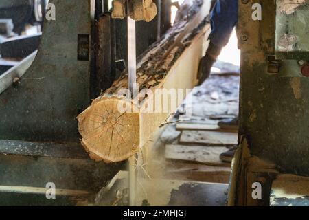 Sägewerk Schneiden Log Prozess der Herstellung von Holzplanken Holz und Holzindustrie Stockfoto