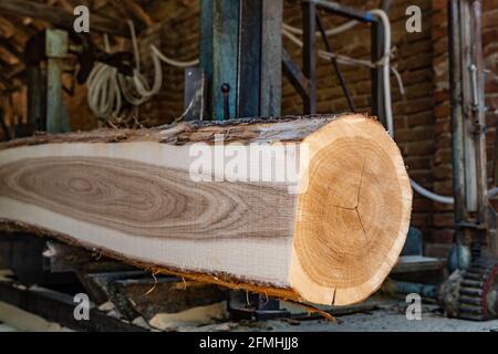 Sägewerk Schneiden Log Prozess der Herstellung von Holzplanken Holz und Holzindustrie Stockfoto