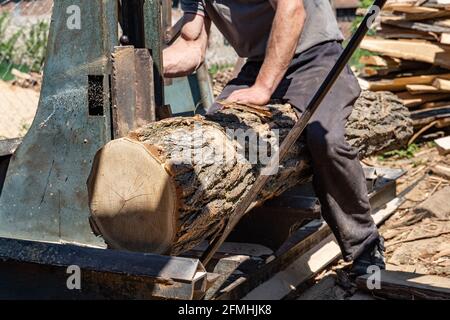 Das Holz auf der beweglichen Plattform am Sägewerk bereit zu stellen Schnitt in Holzplanken Sägewerk Industrie Holzplanken Holz und Holz Stockfoto