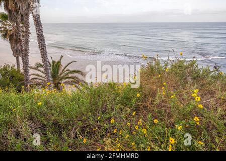 Frühlingsmorgen über Swami's Beach. Encinitas, Kalifornien, USA. Stockfoto