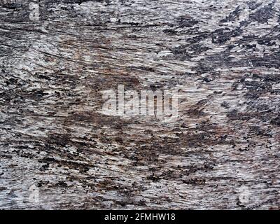 Alte Grunge Holzwand Textur abstrakten Hintergrund. Nahaufnahme hellbraune Holztafel-Struktur. Stockfoto