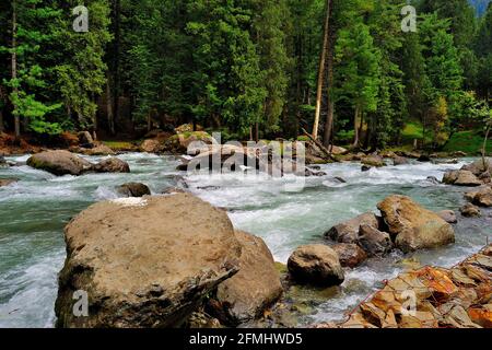 Lidderfluss auf dem Weg nach Pahalgam, 73 Kilometer langer Fluss, der vom Kolhoi-Gletscher, Jammu & Kashmir, Indien, stammt Stockfoto