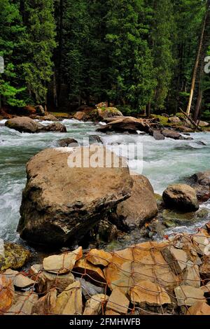 Lidderfluss auf dem Weg nach Pahalgam, 73 Kilometer langer Fluss, der vom Kolhoi-Gletscher, Jammu & Kashmir, Indien, stammt Stockfoto