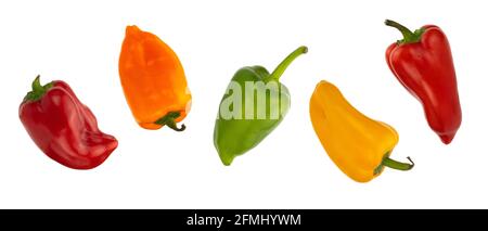 Bunte kleine Paprika auf weißem Hintergrund. Paprika Mini Bell. Verschiedene Paprika Stockfoto
