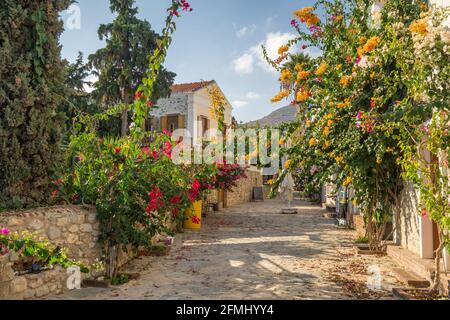 Bunte Straße mit Blumen in Old Datca, Türkei Stockfoto