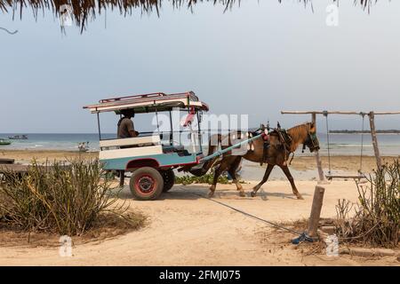 Anonymer Mann, der auf der malerischen Küste unter Blau reitet Himmel in tropischem Land Stockfoto