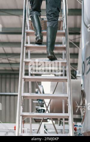 Rückansicht der Ernte unkenntlich männlich Ingenieur aufsteigende Leiter gegen Metallbehälter in der Bierfabrik Stockfoto