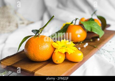 Reife Mandarinen mit Cumquats und blühenden gelben Chrysanthemen beim Schneiden Tafel auf weißem Hintergrund Stockfoto