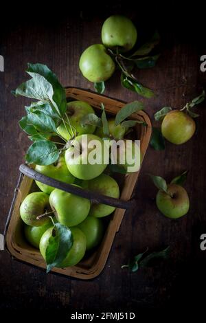 Draufsicht auf Haufen von ganzen kleinen grünen Äpfeln mit Blätter im Korb auf hölzerner Oberfläche Stockfoto