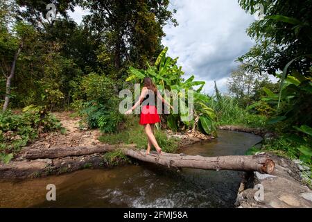 Rückansicht einer anonymen Touristenattraktion, die auf einem umgestürzten Baum spaziert Stamm über schmalen Fluss zwischen tropischen Bäumen in Thailand Stockfoto