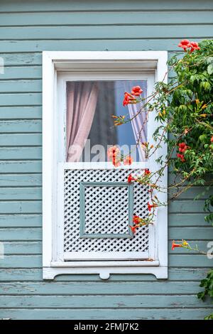 Klassische türkische Fenster im osmanischen Stil Stockfoto