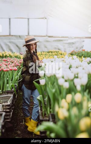 Junge Gärtnerin, die sich um Blumen aus Tulpen kümmert, die in einem Gewächshaus wachsen. Frühlingsblumen und Blumenzucht. Weicher, selektiver Fokus, Unschärfe-Effekt. Stockfoto