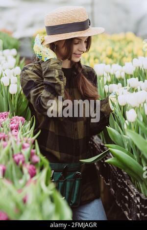 Junge Gärtnerin, die sich um Blumen aus Tulpen kümmert, die in einem Gewächshaus wachsen. Frühlingsblumen und Blumenzucht. Weicher, selektiver Fokus, Unschärfe-Effekt. Stockfoto