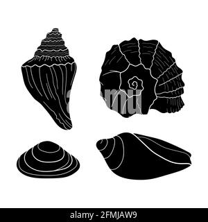 Sammlung von Silhouette Muscheln verschiedenen Formen. Marine-Set. Handgezeichnete Vektorgrafiken. Gestaltungselement für Einladungen, Grußkarten Stock Vektor