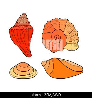 Muschelset. Sammlung von Muscheln verschiedener Formen. Handgezeichnete Vektorgrafiken mit farbenfrohen Illustrationen. Gestaltungselement für Einladungen, Grußkarten Stock Vektor