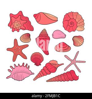 Set von Muscheln. Sammlung von Muscheln in verschiedenen Formen. Marine-Set. Handgezeichnete Vektor-farbenfrohe Illustration. Design-Element für Banner, Flyer Stock Vektor